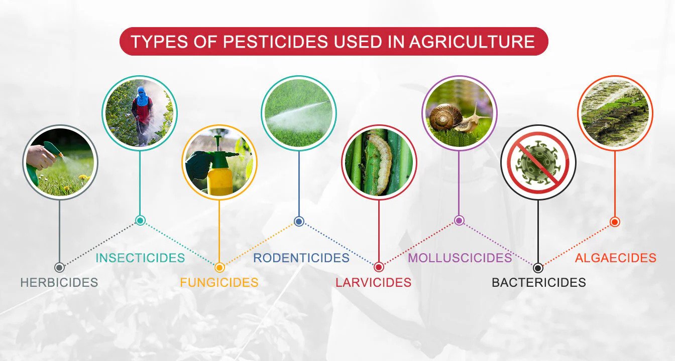 8-different-types-of-pesticides-used-in-agriculture-commonly-SKcS9